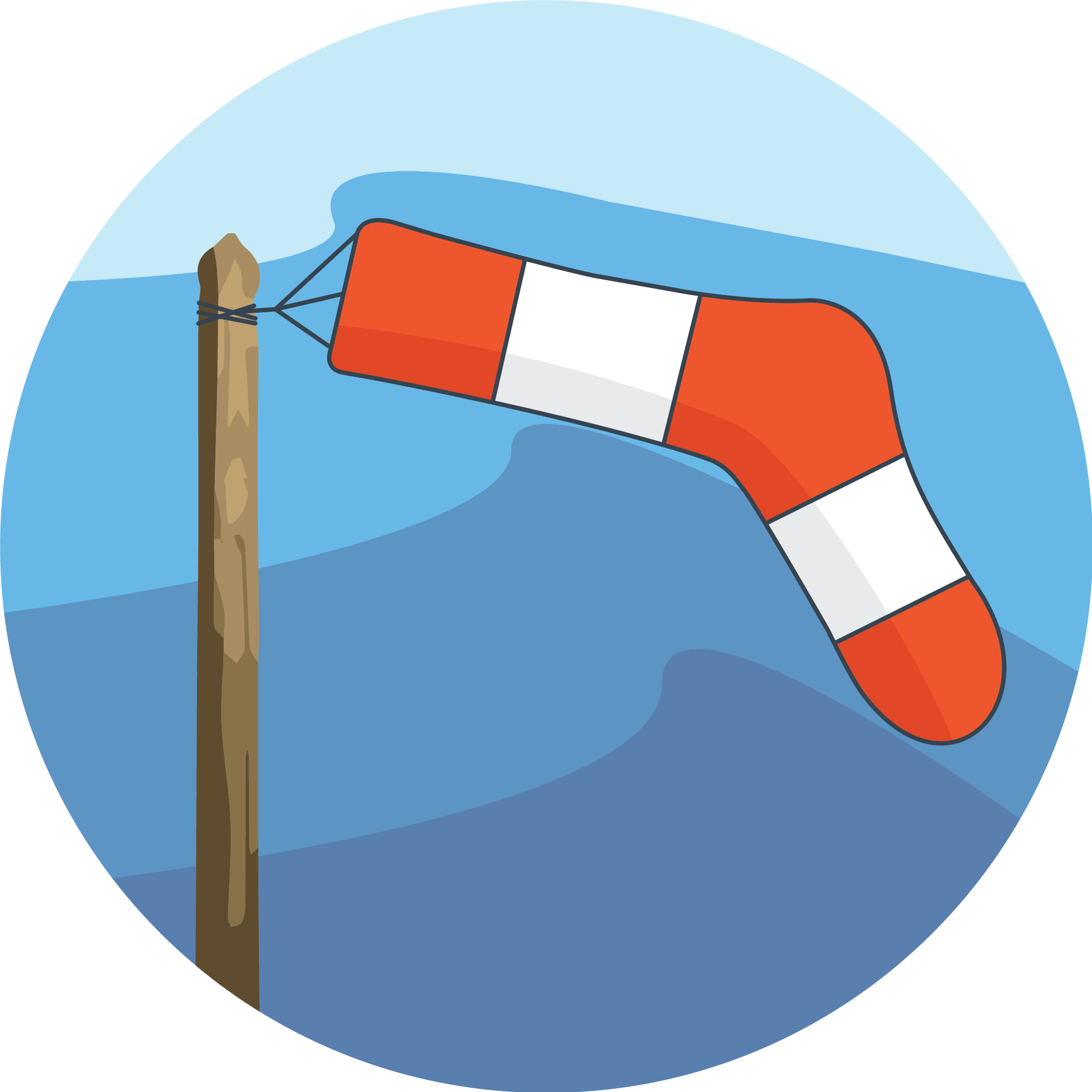 Wind Sock Socks Logo